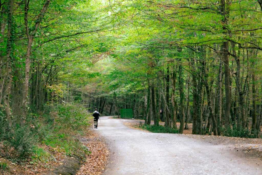 pexels sanlad 34150362